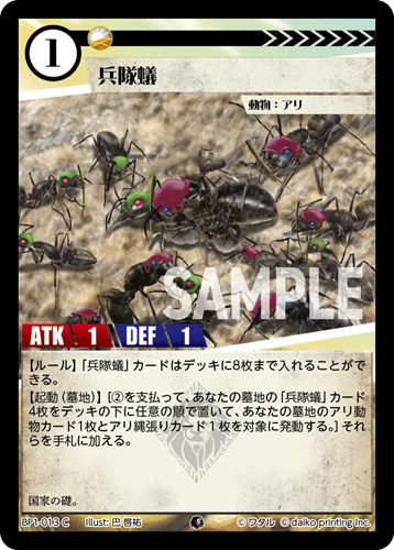兵隊蟻