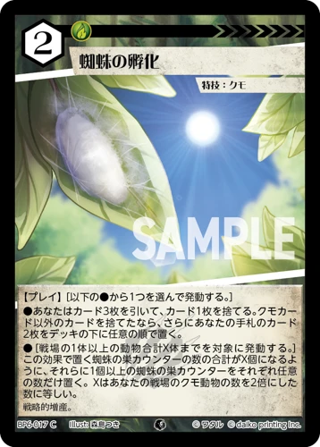 蜘蛛の孵化