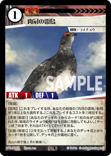 肉冠の雷鳥